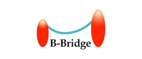 B-Bridge